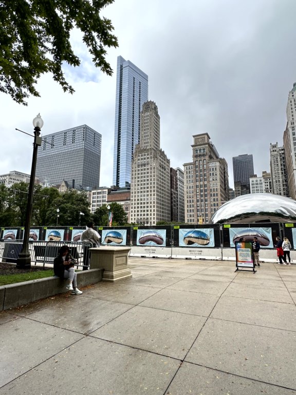 millenniumpark6.jpg