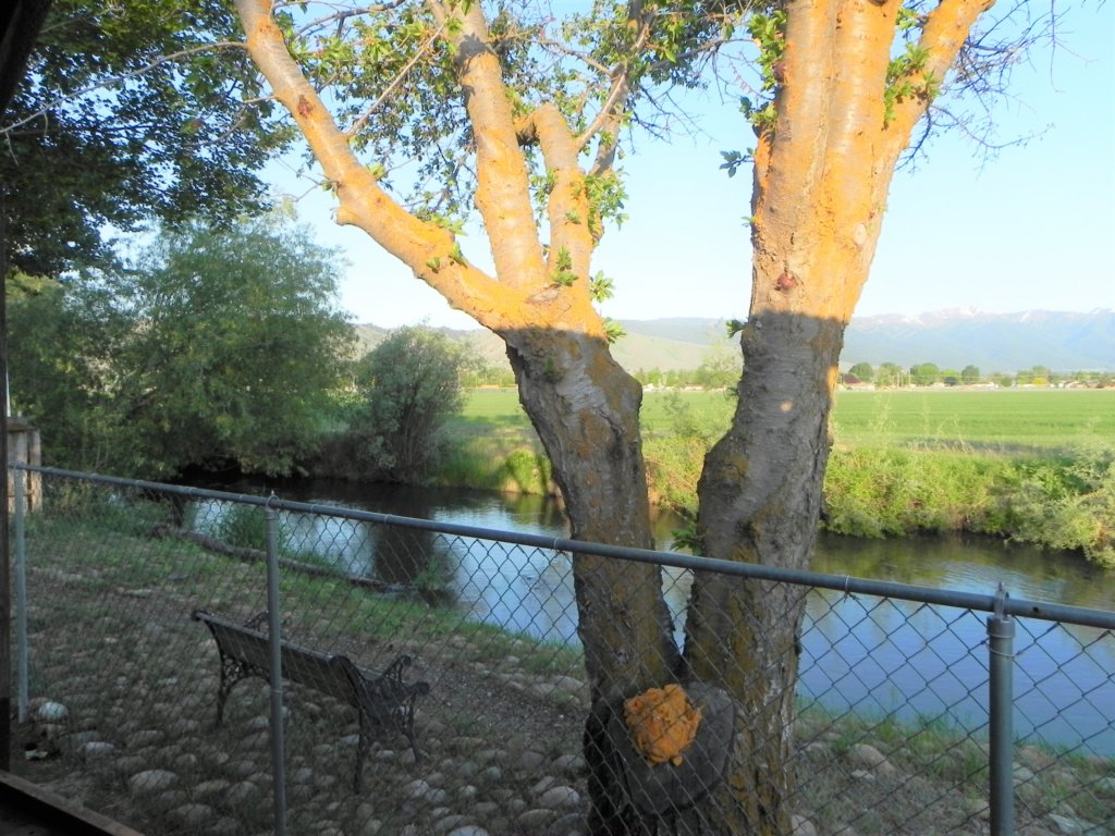 dscn26832.jpg