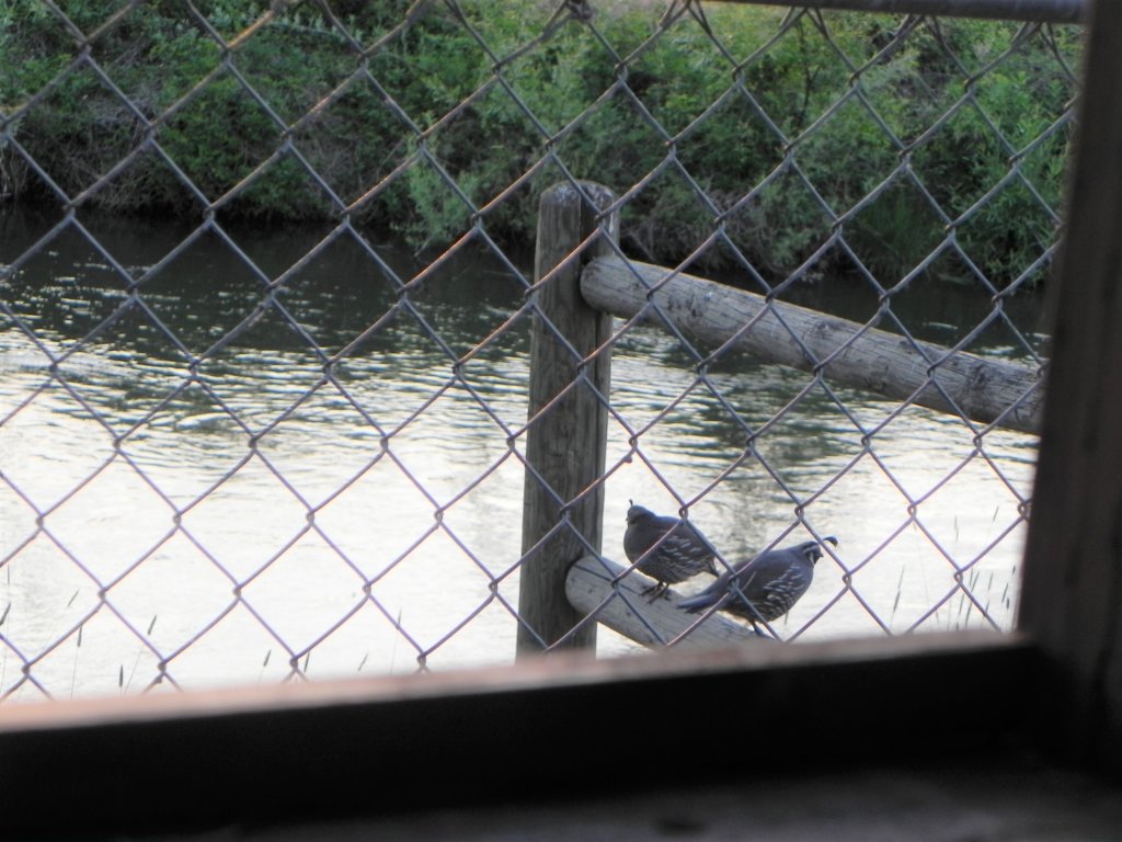 dscn26902.jpg