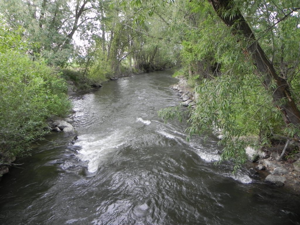 dscn2701.jpg