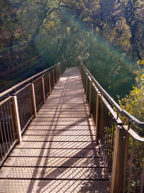 img_20191017_101141219_hdr.jpg