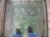 rm025_small.jpg