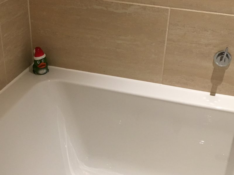 greenduck.jpg