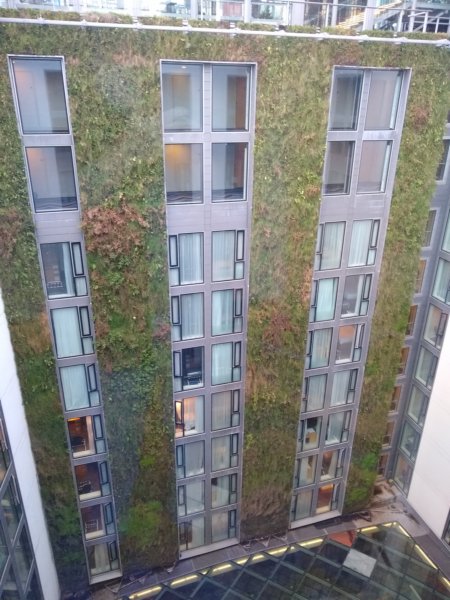 thegreenwall.jpg